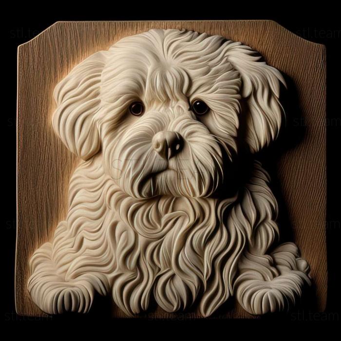 3D model Bichon frise dog (STL)